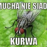 Kupuj ***********