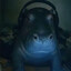 PET9_ZYB0W
