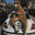 Levak_bobˇˇ