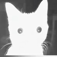 R avatar