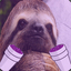 Vuhsace Sloth