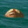 Rum Ham