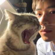 红孔雀歌厅台柱子