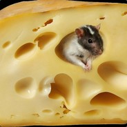 _Cheese