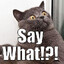 SayWhat