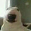 Mr.bomboklat