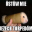 SEYVi