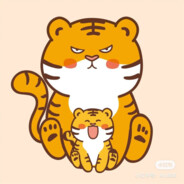 卖土豆养猫