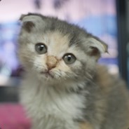 Big Avatar