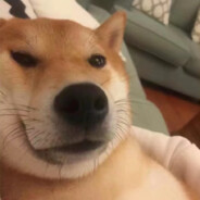 我没医保别打我