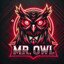 MR.Owl