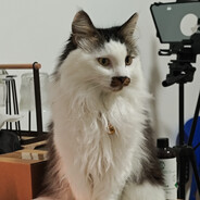 悄悄点否折磨队友