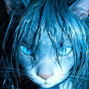 shmily - steam id 76561198861952985