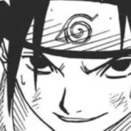 AAA狗粮批发涂总