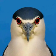 再也不玩抽象了