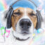 Chance