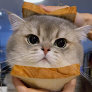 神奇の九零球王