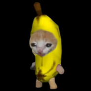 Banananana_Cat123