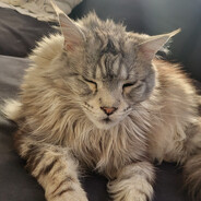 ㋡Arne㋡ - steam id 76561199005200174