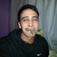 [TF-007]LegaLegalizacion