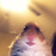 Hudojnik_hamster