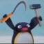 pingu pingu