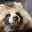 ARetroFeeling's Avatar