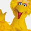 Big Bird MotherFucker