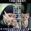 Sy4k@П()тР()ШiTeЛbNiц@