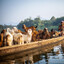 GoatsOnABoat™