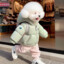 JFM caniche