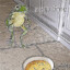 FroggieGoat