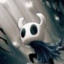 Hollow Knight