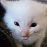 Hi Herbert!