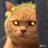 那年走丢的大爷