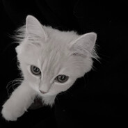 她说人多以为有我