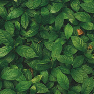 47V | молочник