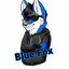 TheBlueFox