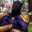 TheElderDragon