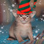 Christmas Beebo