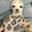 woman_liker2000