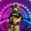 Tacticool Ferret