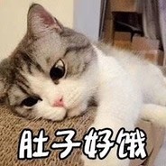 大海是什么味道呀？