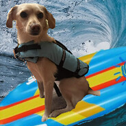 Player avatar