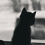 PASHKARIK - steam id 76561198771236757