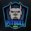 pitbull_gaming91