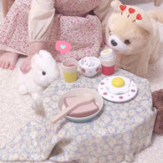 奥斯陀螺夫斯基