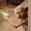 DobbY