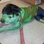 HULK DOG