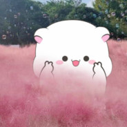 ZAKerOMG：我真的会谢